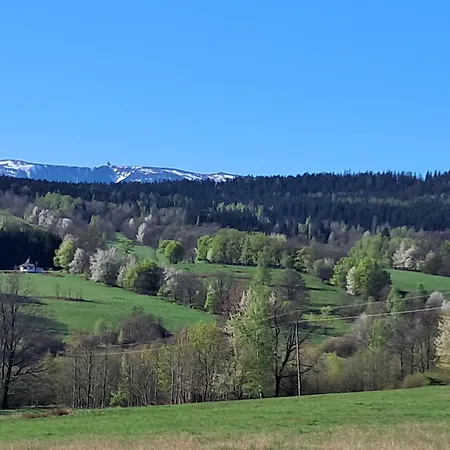 דירה Przytulia Drewniany