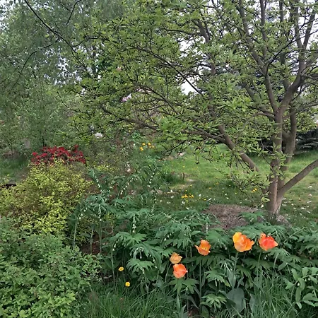 Przytulia Drewniany Appartement Kopaniec