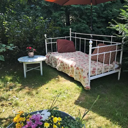 Przytulia Drewniany Kopaniec