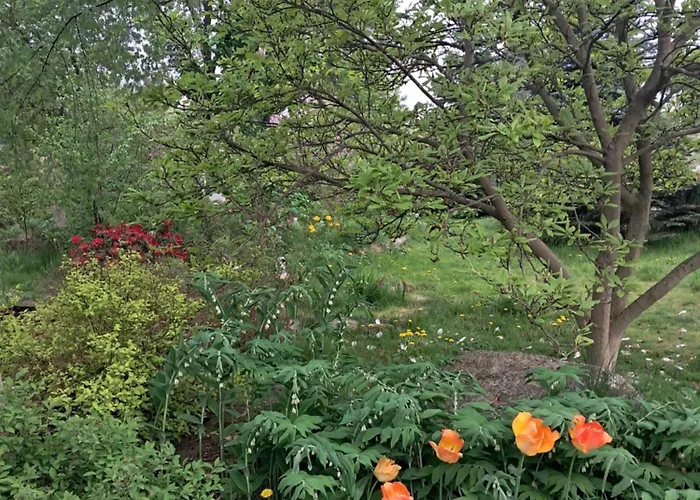 Przytulia Drewniany Apartment Kopaniec